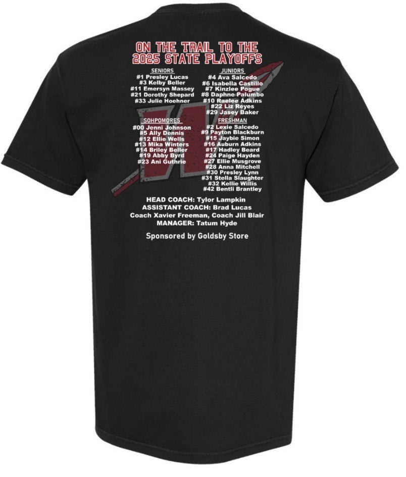 Softball Playoff Comfort Colors T-Shirt
